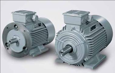 Động cơ điện Siemens